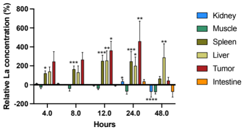 Biodistribution data showing tumour accumulation